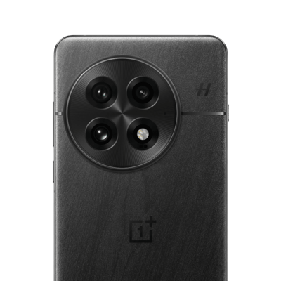 OnePlus 13
